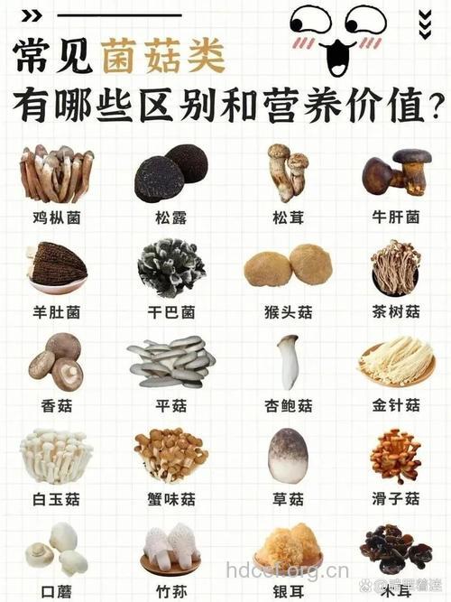 蘑菇是女人驻颜美容的好食物