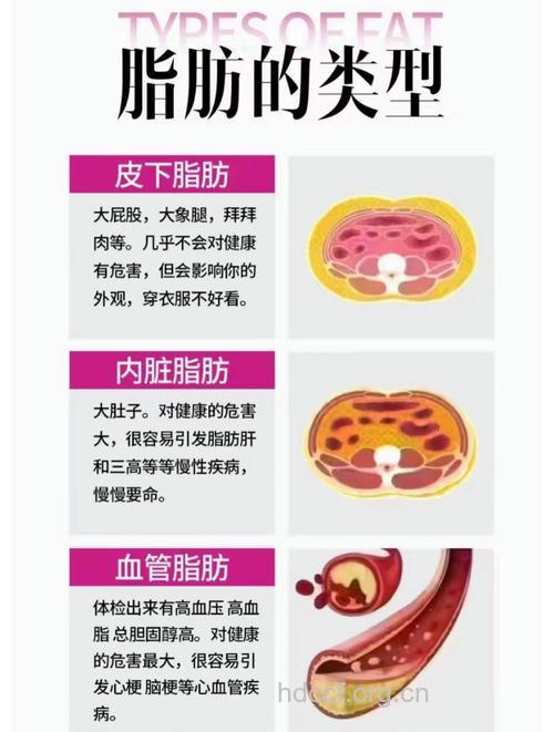 五种油脂最易长赘肉