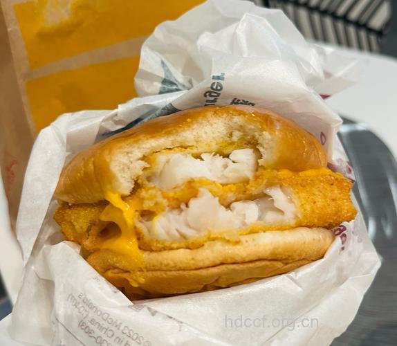 麦当劳汉堡面包暴晒 晒晒更健康?