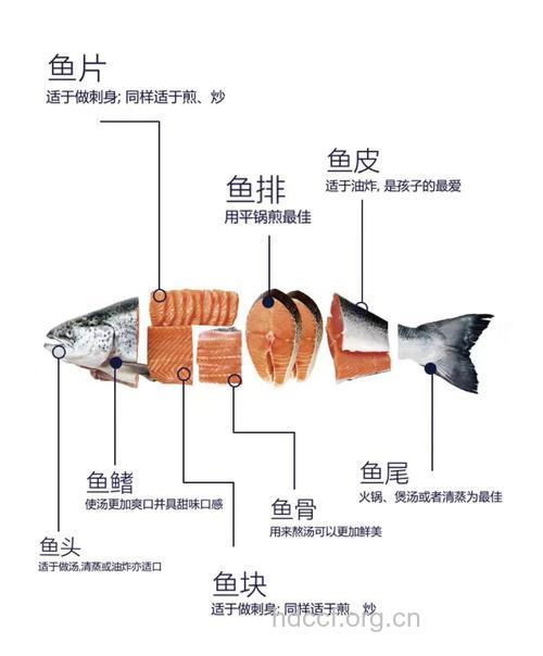 鱼禽畜这些部位千万别吃