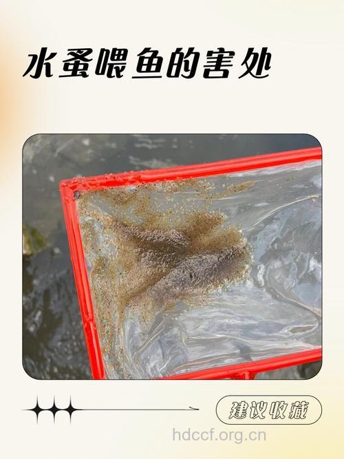 水煮鱼隐藏的5大疾病隐患