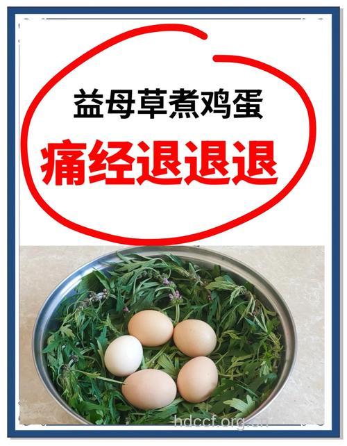 痛经吃什么 益母草煮鸡蛋