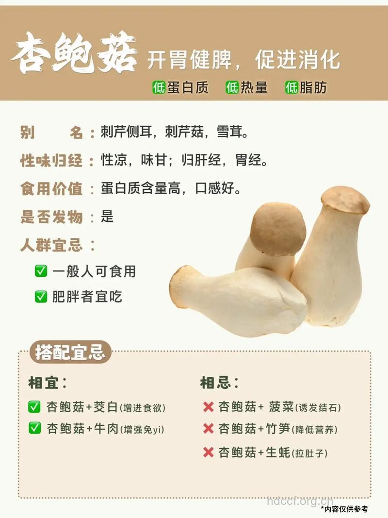 五种蘑菇的营养价值