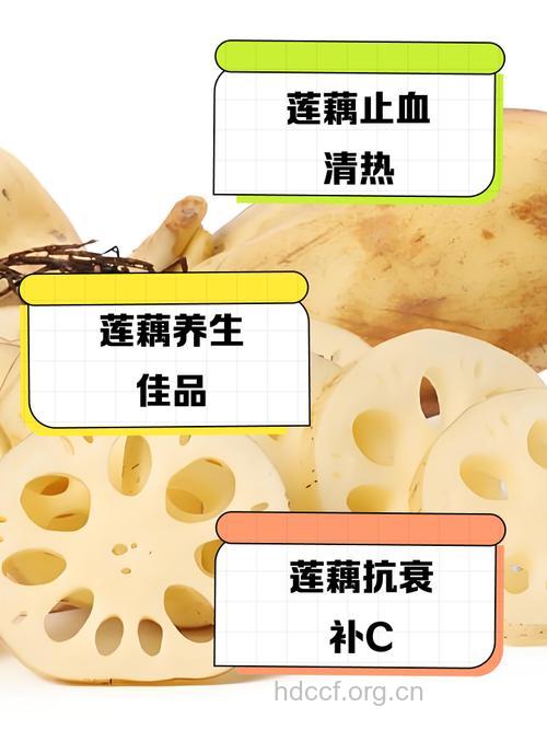 女人吃藕好处多 竟然能治病