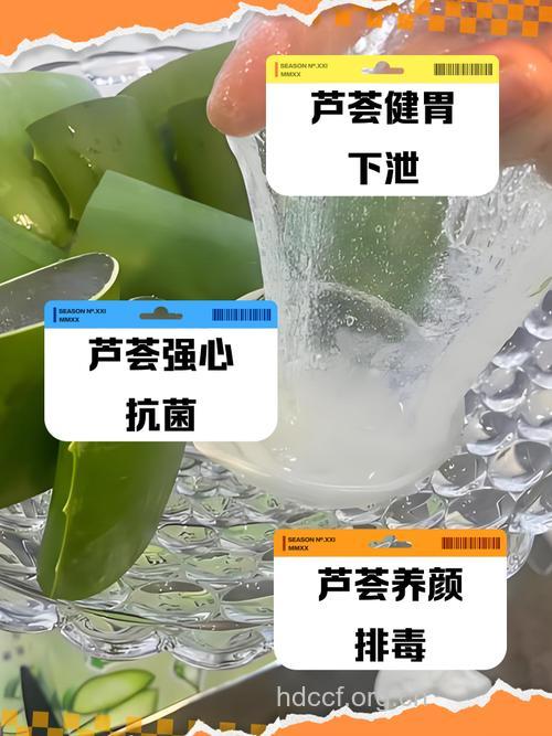 喝芦荟饮品预防空调病