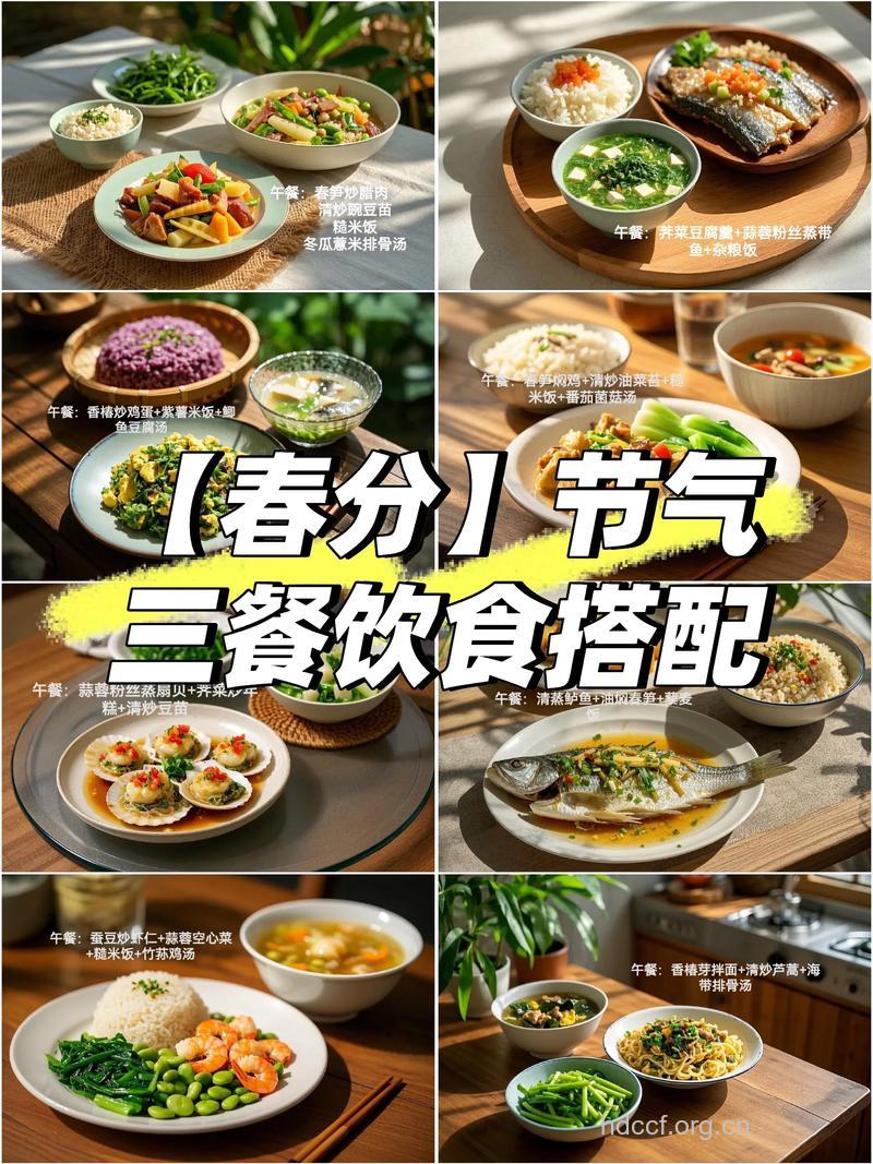春分时节吃什么可以养生 少不了这四种食物