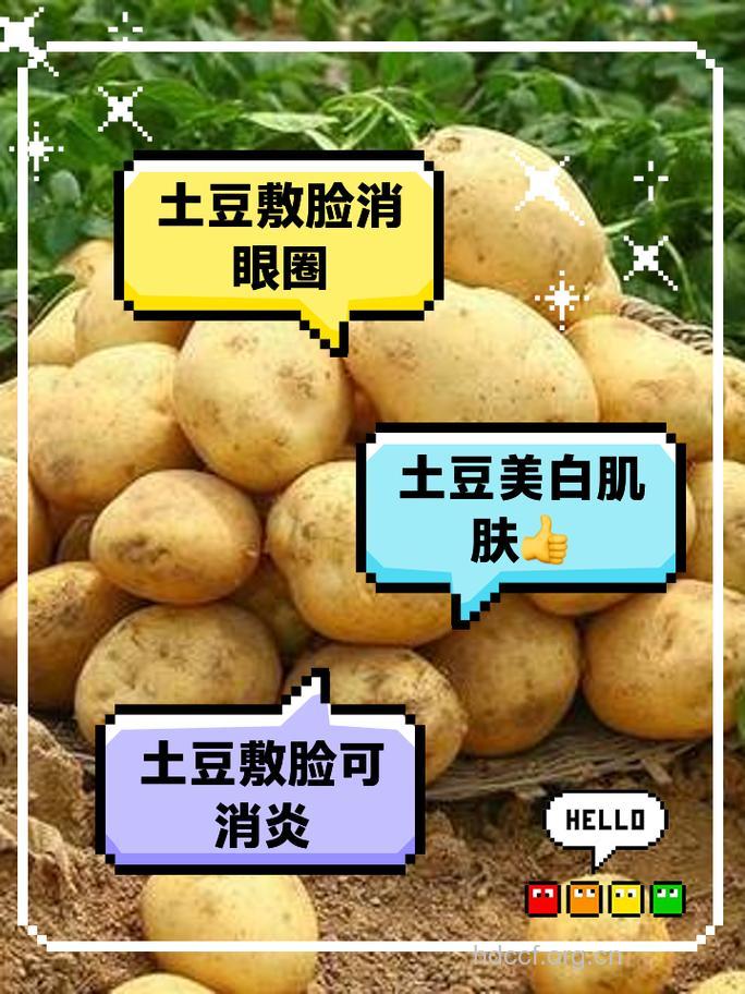 吃土豆可以祛痘吗 日常保养注意这些