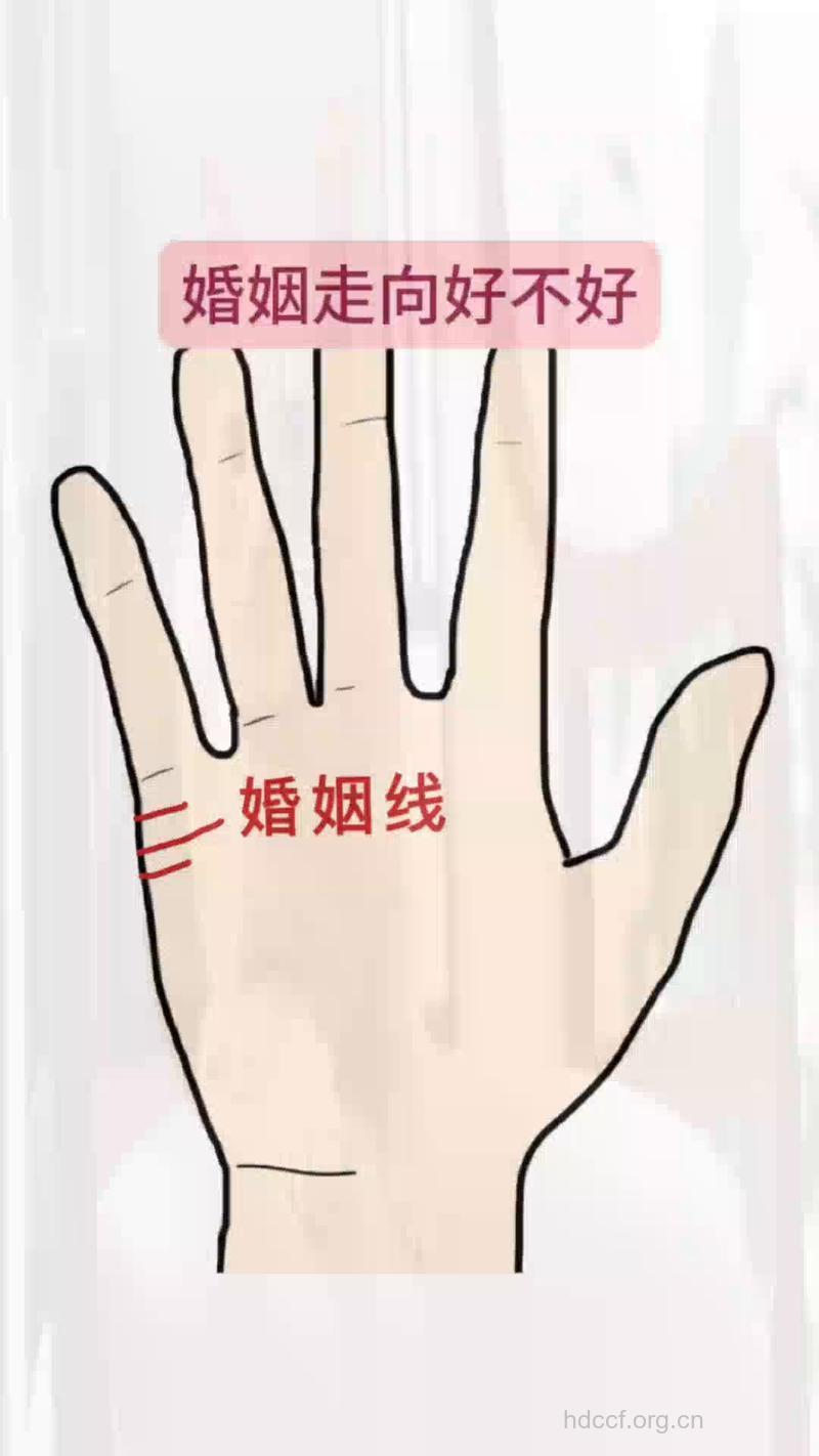 从面相看你走的婚姻路线