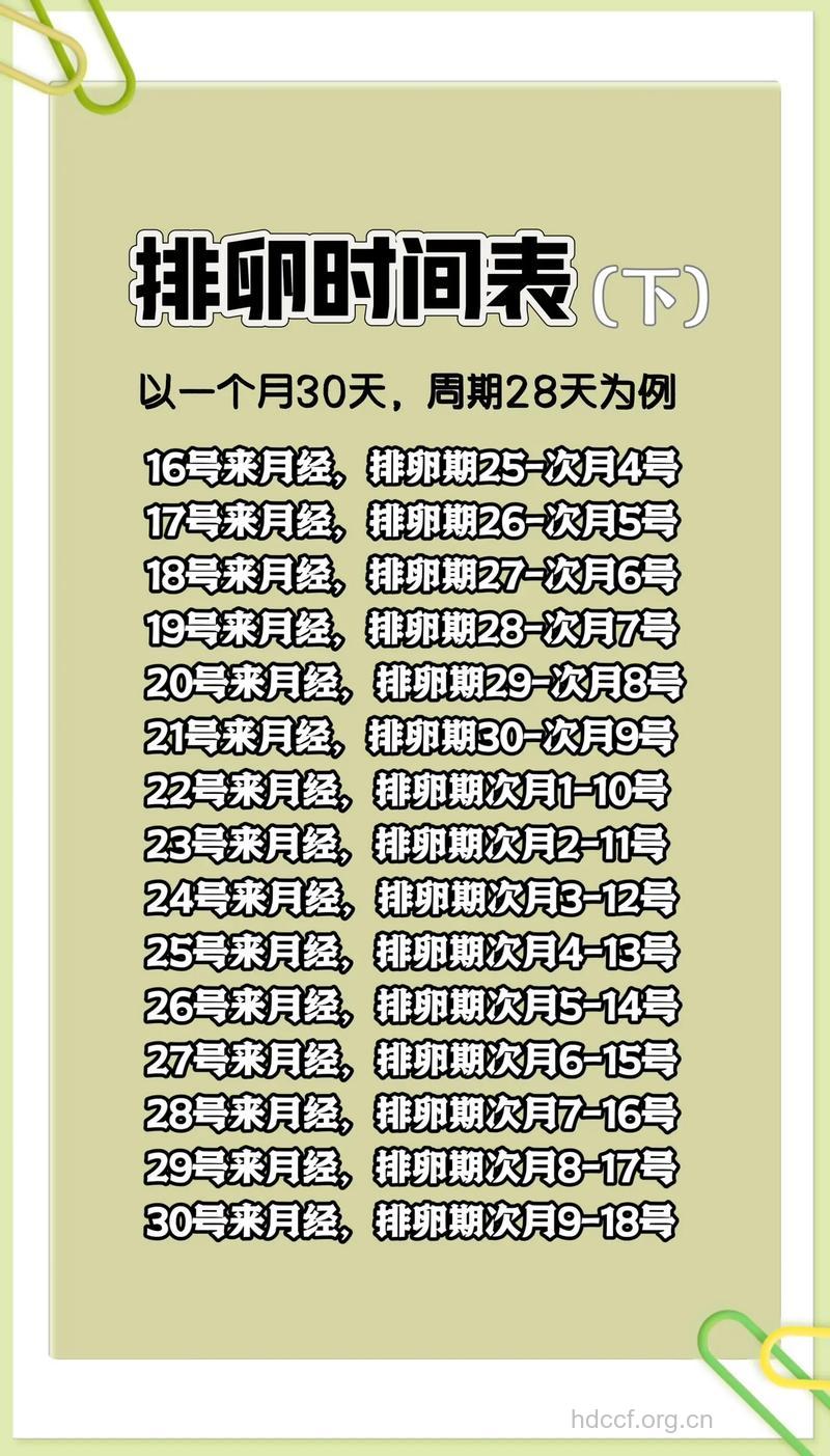 女性排卵期有哪些变化