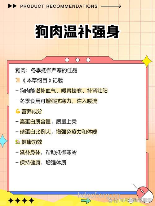 女人冬天吃狗肉好处多 但也不是谁都能吃