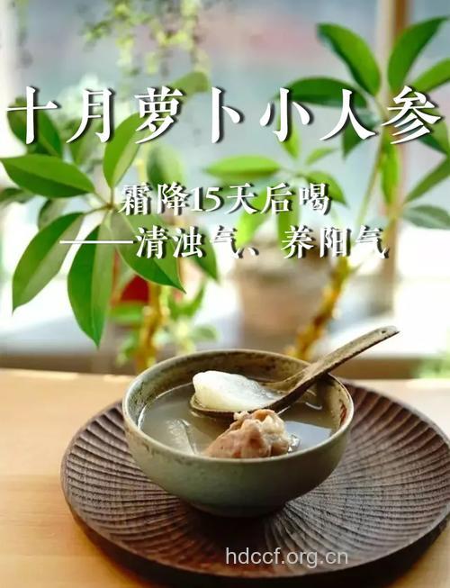 秋冬萝卜赛人参 这样搭配更营养