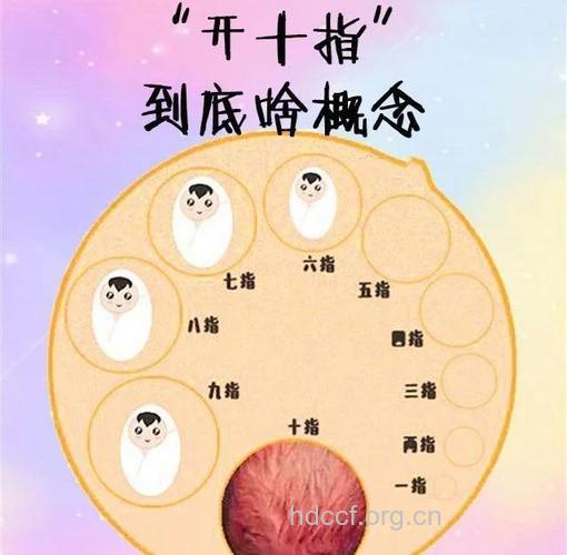 女性手指暗示生育能力