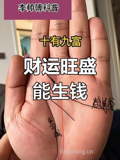 什么样的手相能聚财