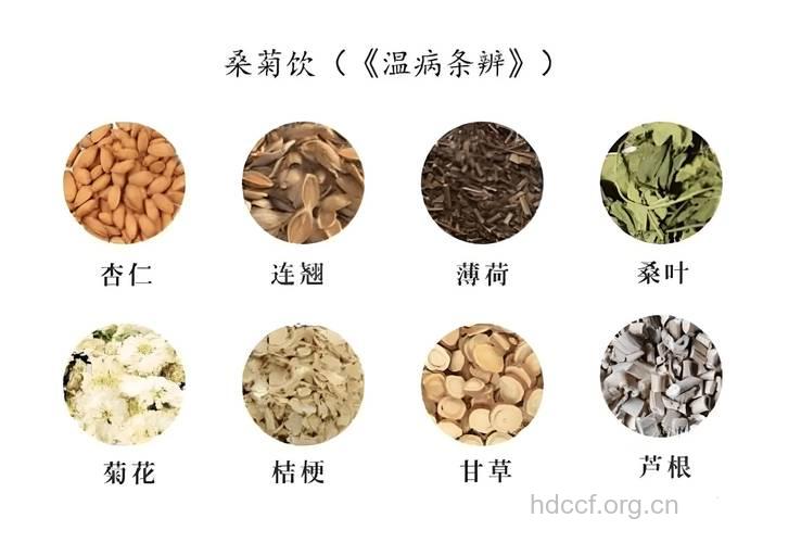 九种抗衰老的中药药材