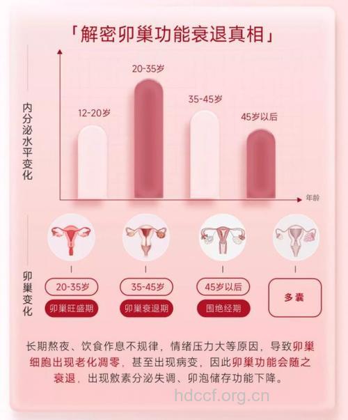 调整女性内分泌的小窍门