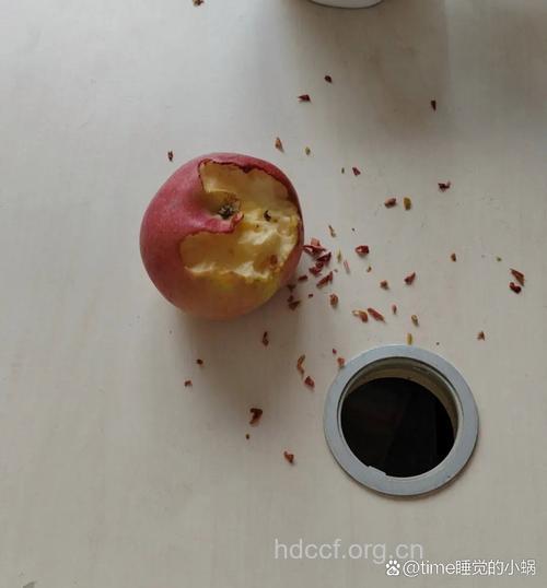 吃皮吐籽 这样吃苹果才健康