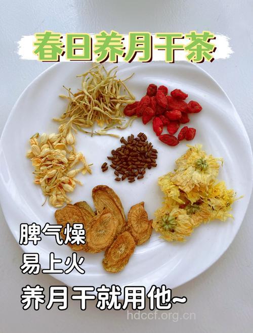 春天应该喝什么茶 六款茶助女人降火