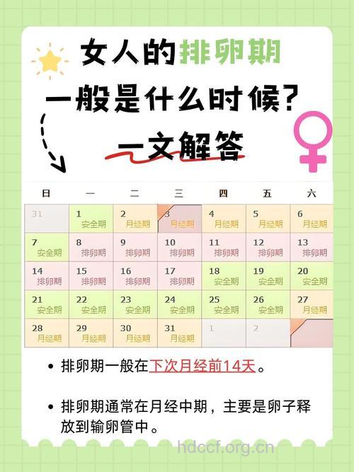 正确计算排卵期和安全期