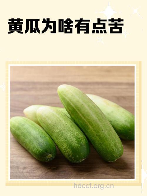 惊！常吃黄瓜会导致不孕？！