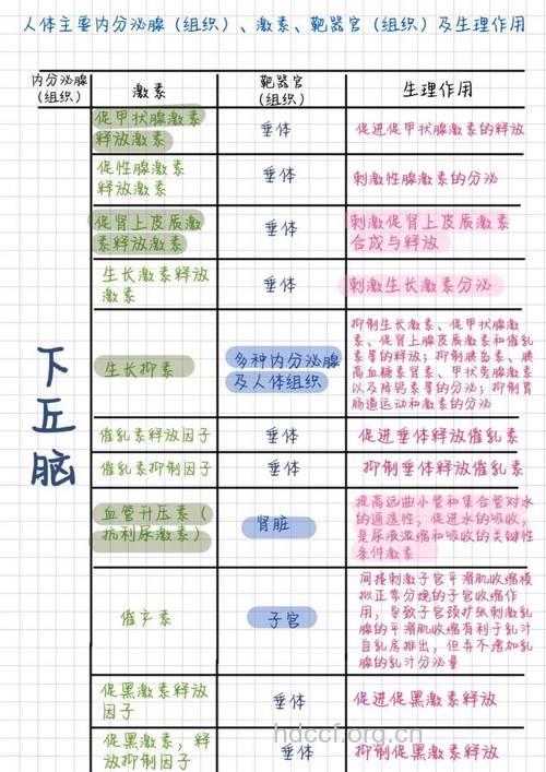 4大妙招平衡你的内分泌