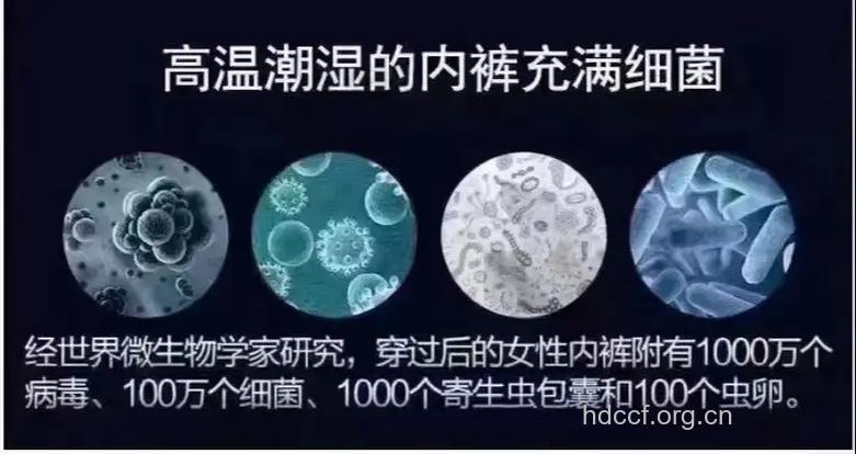 一条内裤100万病毒 最好半年换一次