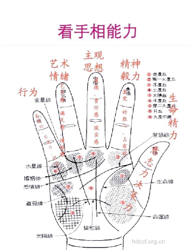从手相看你一生的运势