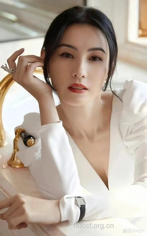 张柏芝新歌《曾经》亲自填词 内容暗喻和霆锋关系