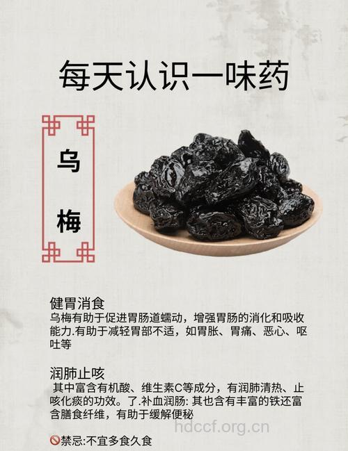 乌梅的作用与功效