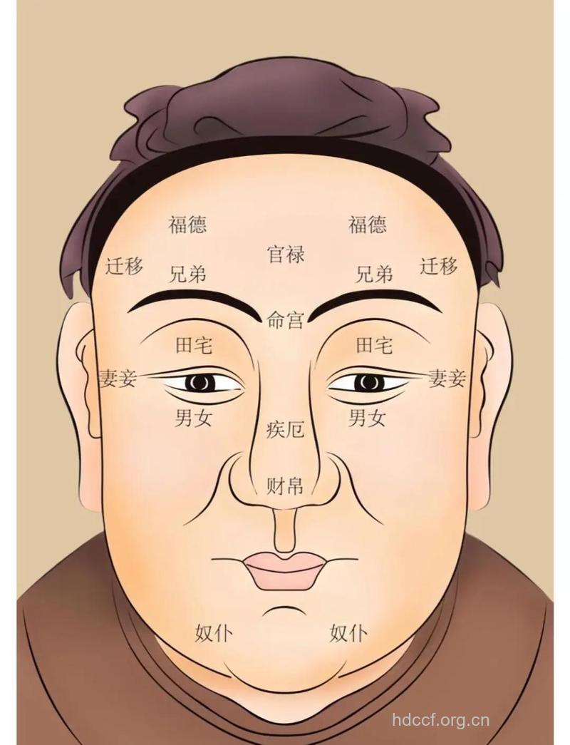 什么样的面相富贵长寿