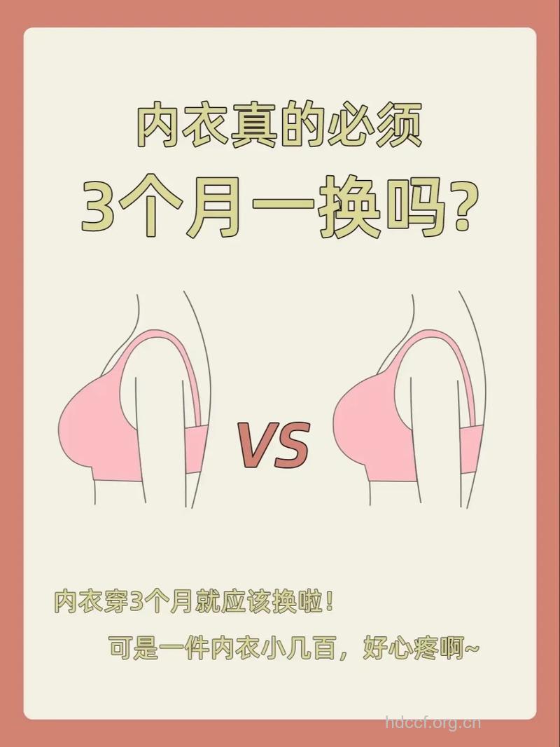 内衣多久换一次好