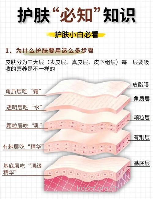 9月的肌肤最需要什么?