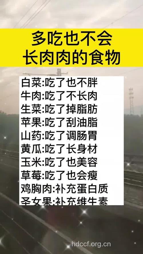 天底下有不长肉的食物吗