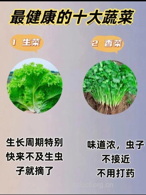 春季最营养健康的10种蔬菜