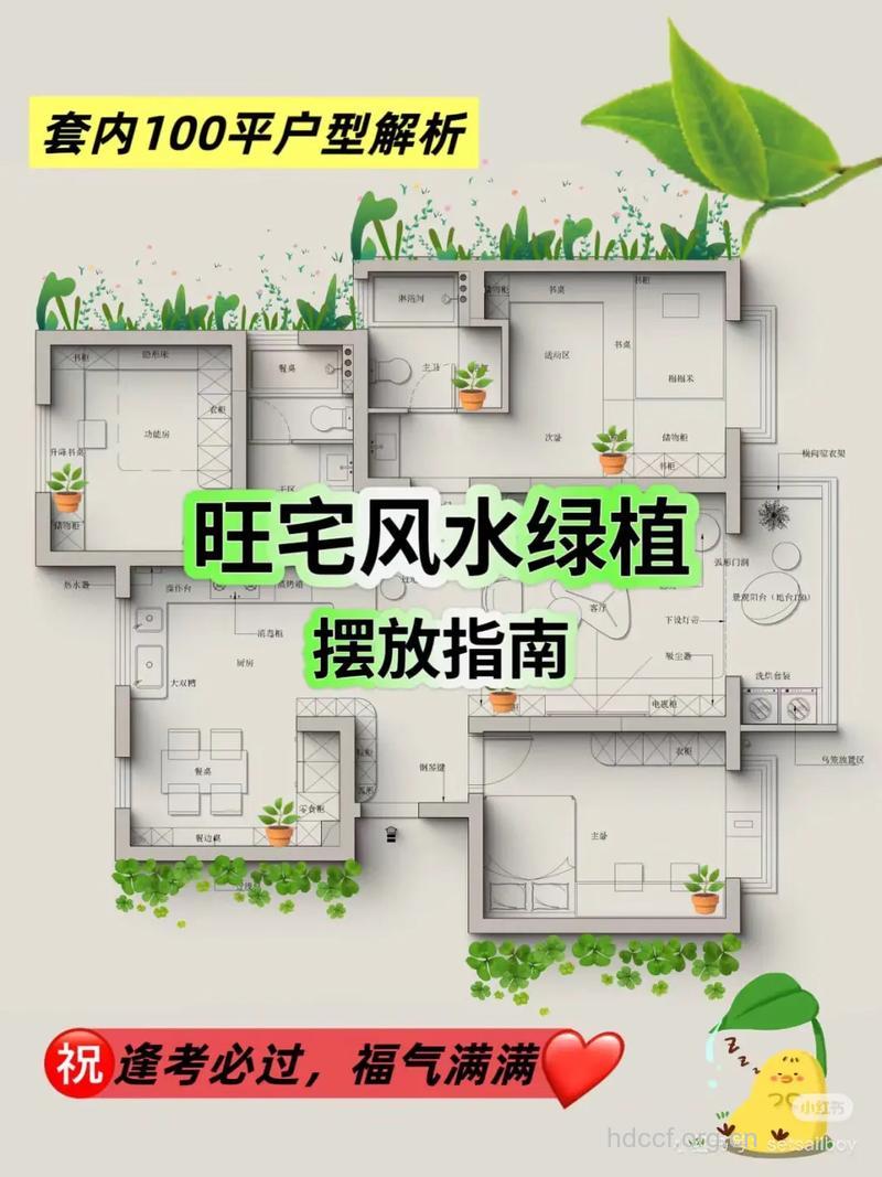 如何用植物营造家居好风水