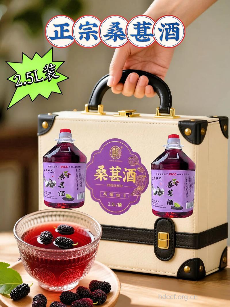除皱圣品：桑葚葡萄酒