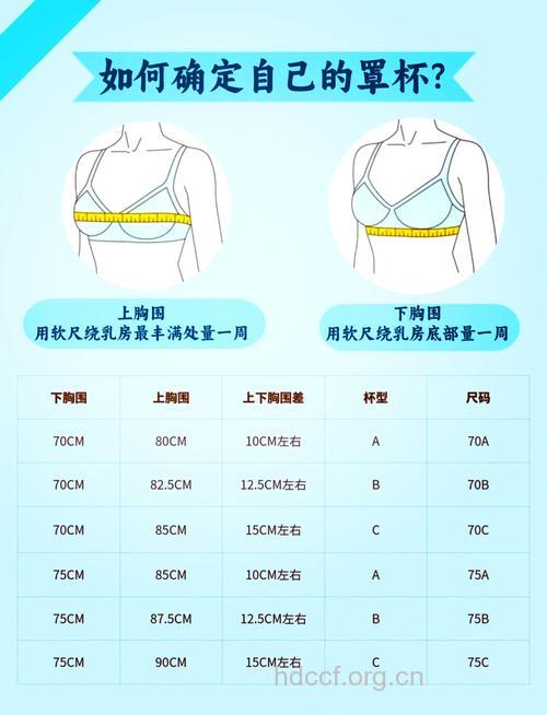 巧用下胸围计算胸罩大小
