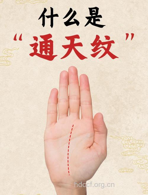 哪种手相的女人天性放荡