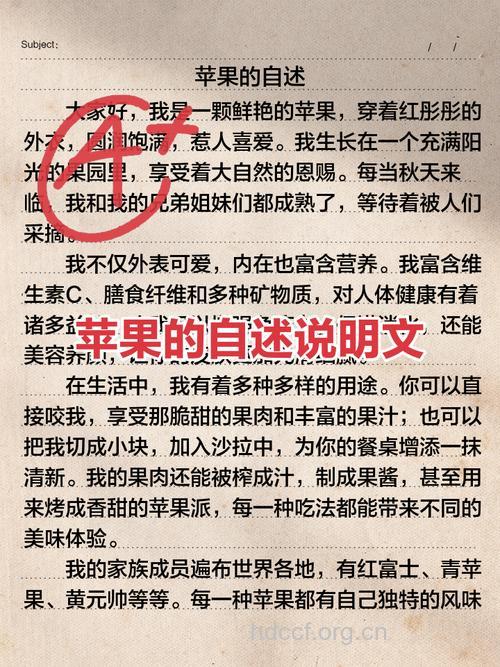 让女人爱苹果的理由