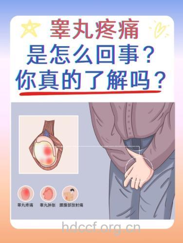 得了睾丸炎怎么办 这样治疗效果好