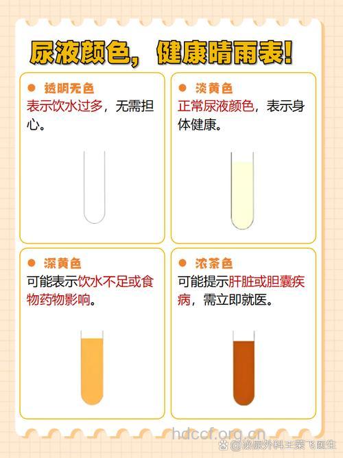 长期尿液发黄 可能与这些因素有关