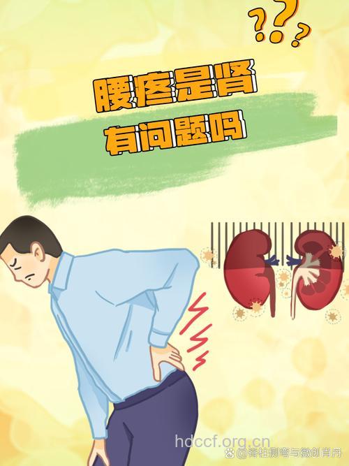 男人腰痛不仅仅是肾脏疾病