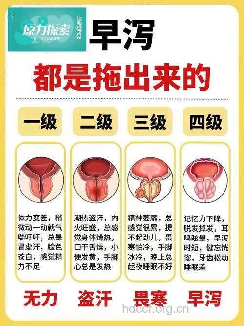 男性性功能障碍类型有哪些