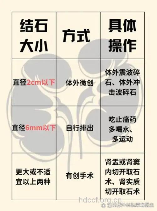 精囊结石的原因有哪些