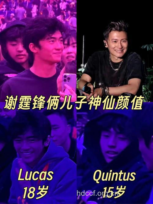 微薄传Lucas验DNA非谢霆锋亲生