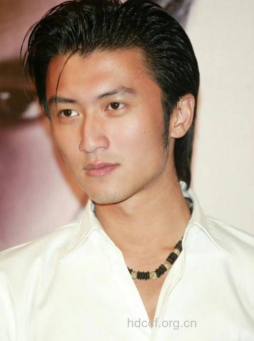 谢霆锋领衔 婚后从未花心的10大男星