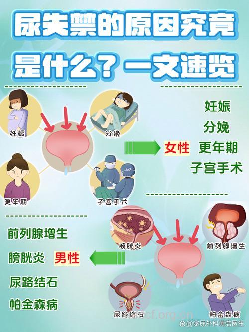 哪些原因可能会导致男性尿失禁