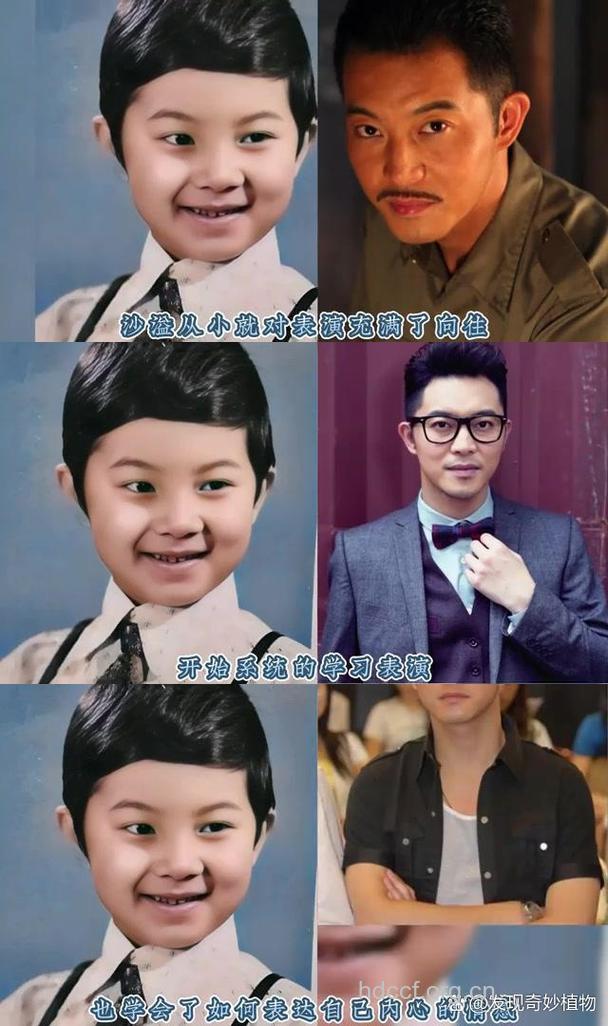 明星儿时的梦想很傻很天真