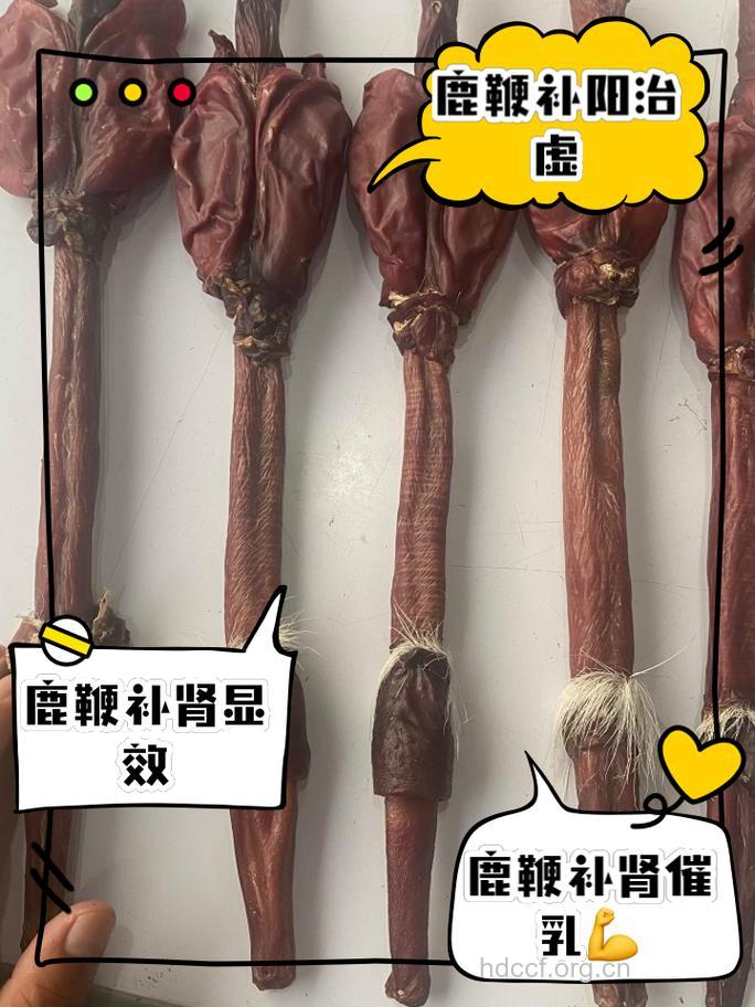 动物鞭真的可以壮阳吗