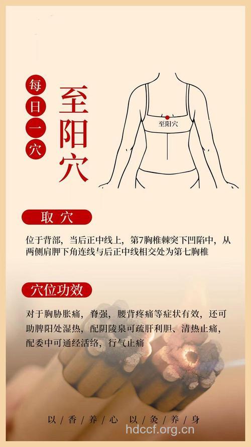 艾灸哪些穴位可治疗阳痿