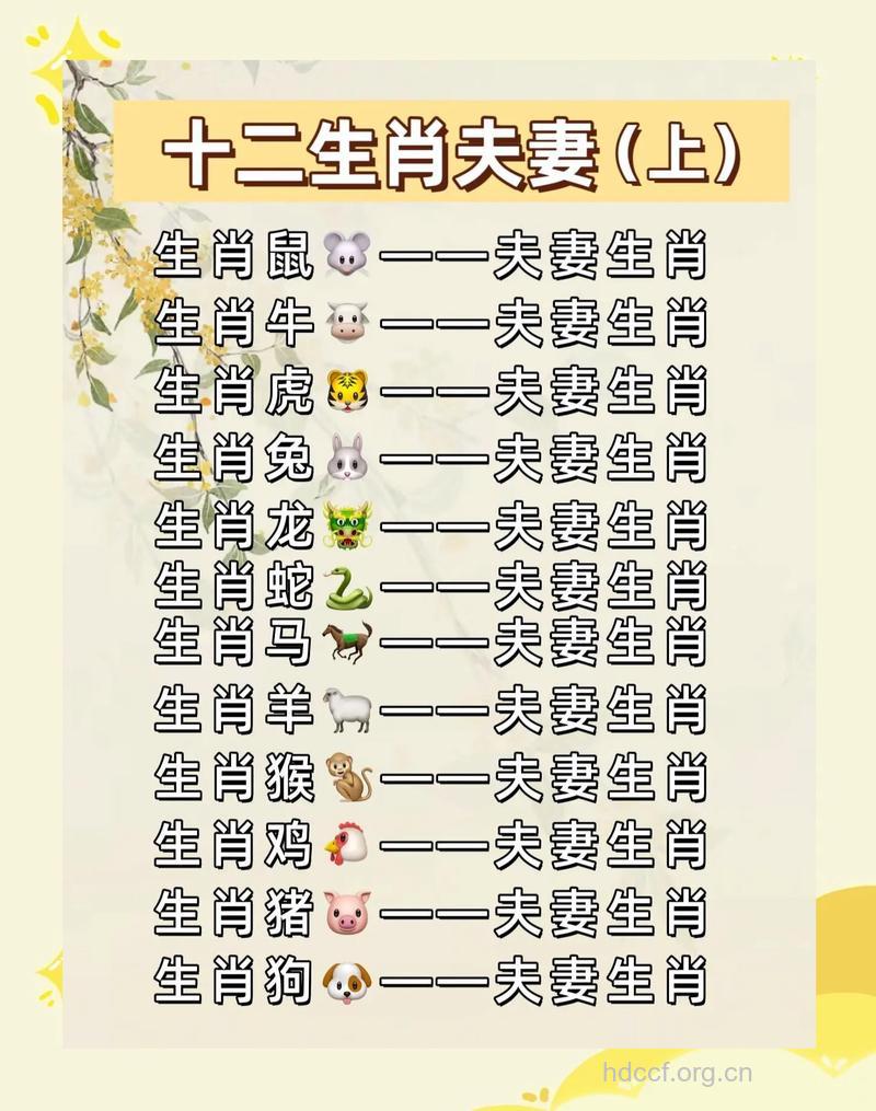 12生肖姻缘哪些人相配